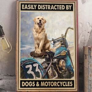 Fundraising Page: Dan Kelley